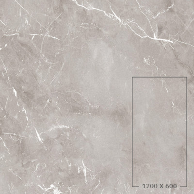 EPOQUE GREY