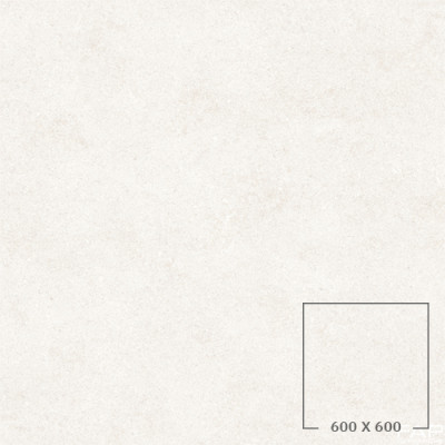 DE60 WHITE