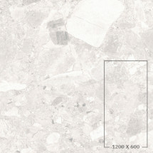 CIENA 01