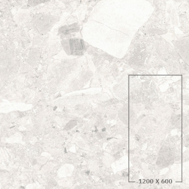 CIENA 01