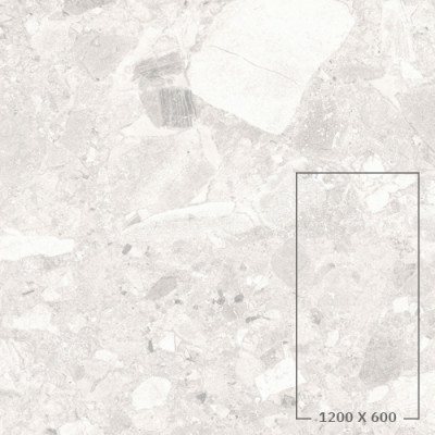 CIENA 01
