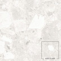 CIENA 01