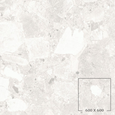 CIENA 01