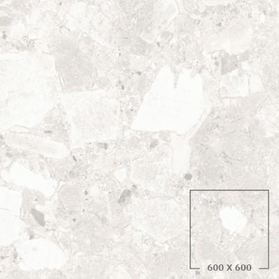 CIENA 01