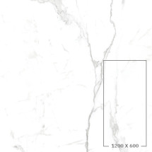 PA126621M