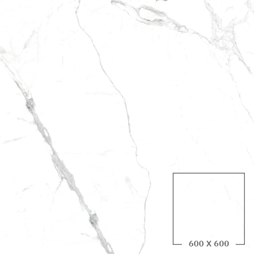 PA6621M