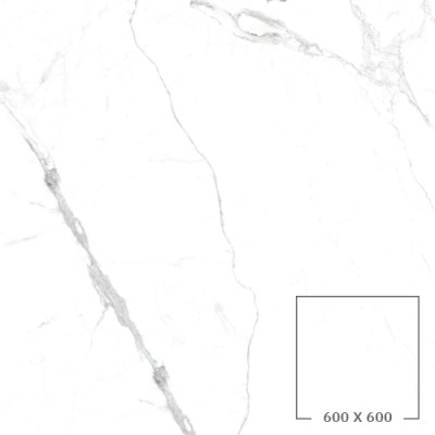 PA6621M