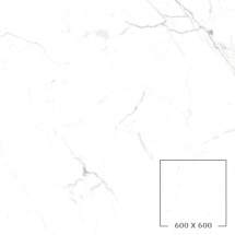 PA6620P