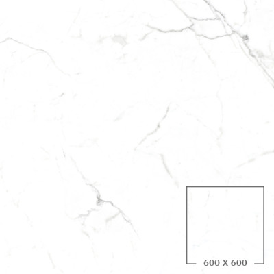 PA6620P