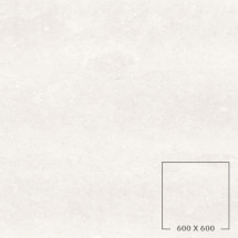DOT 04