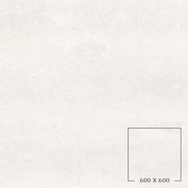 DOT 04