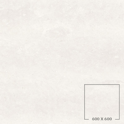 DOT 04