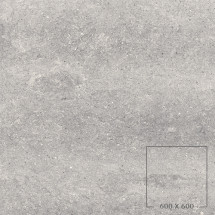 DOT 02