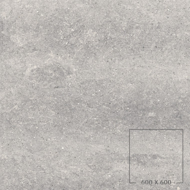 DOT 02