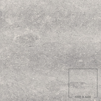 DOT 02