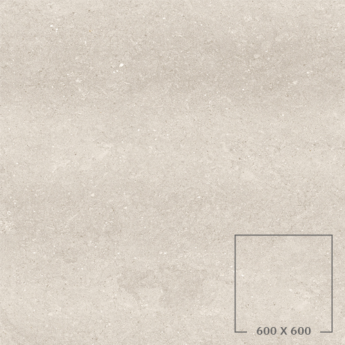 DOT 01