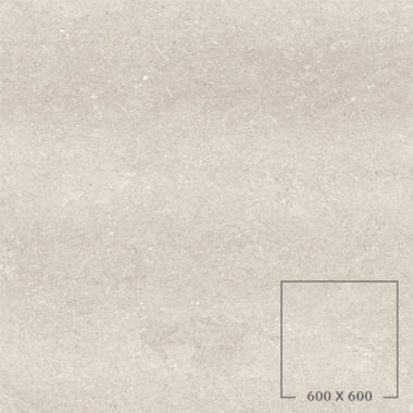 DOT 01