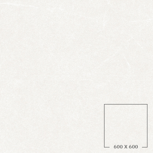 JS01