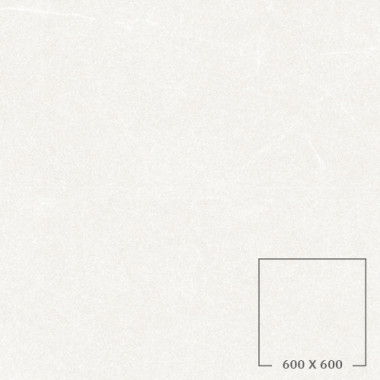 JS01