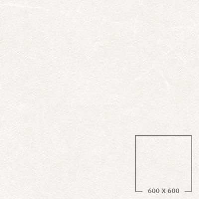 JS01