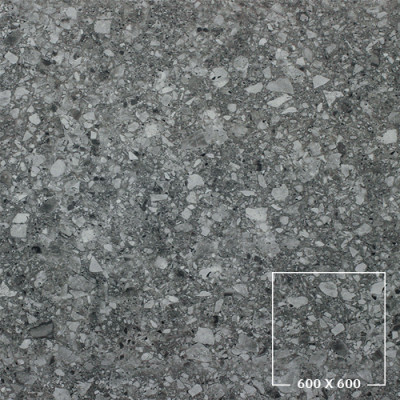PER6008M
