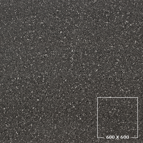 PES6005