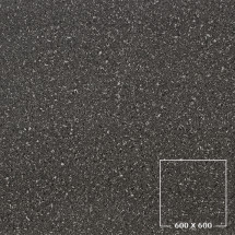 PES6005