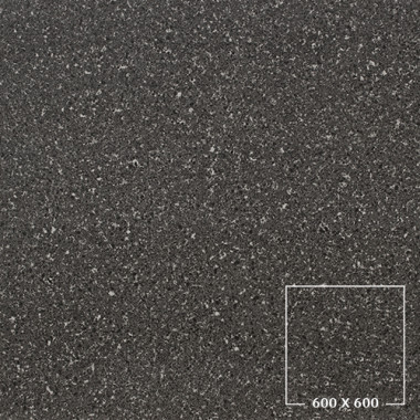 PES6005