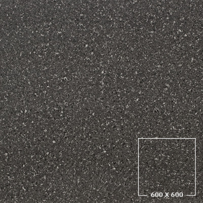 PES6005
