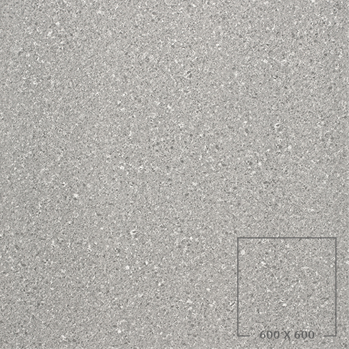 PES6002