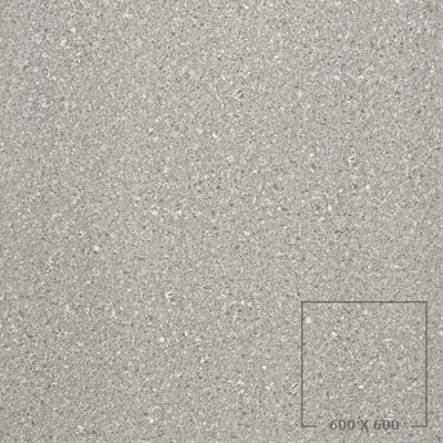 PES6002
