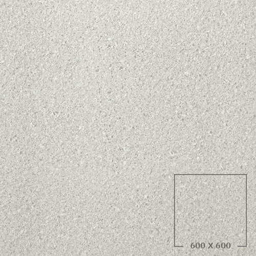 PES6001