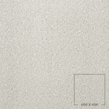 PES6001