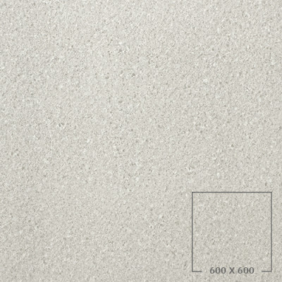 PES6001