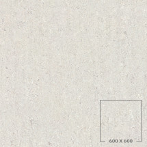 X69A104T