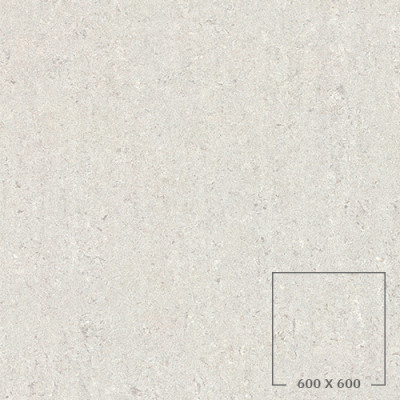 X69A104T
