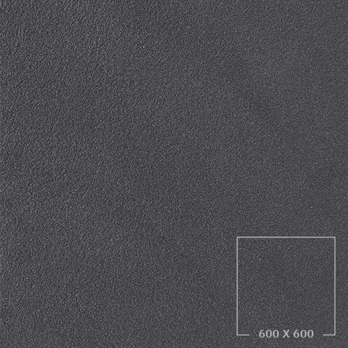 SP6512W