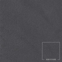 SP6512W