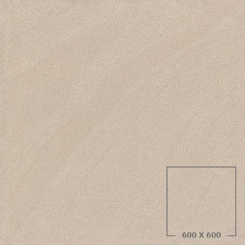 SP6509T