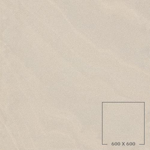 SP6507T