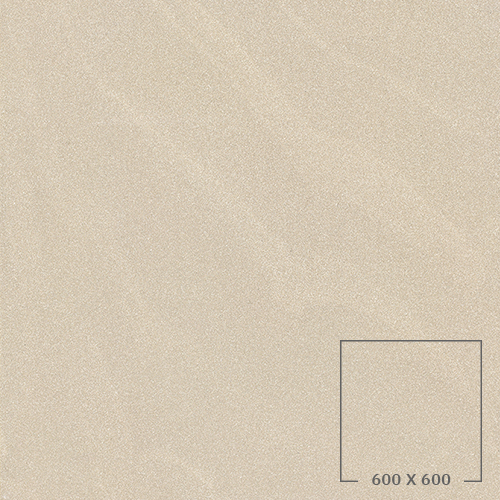 SP6507M