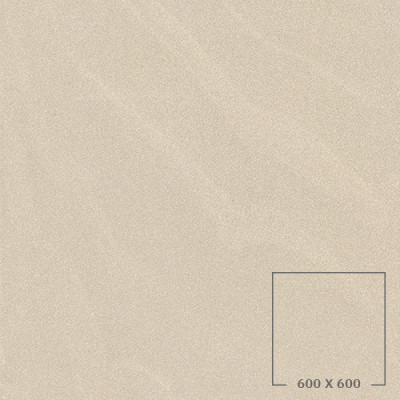 SP6507M