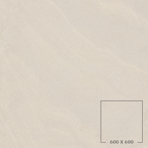 SP6506T