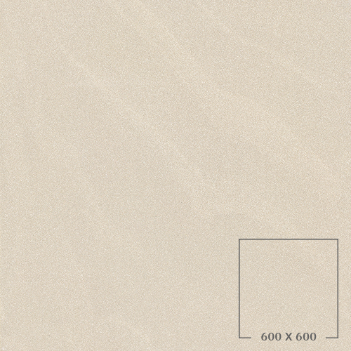 SP6506M