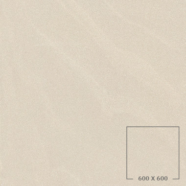 SP6506M