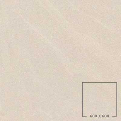 SP6506M