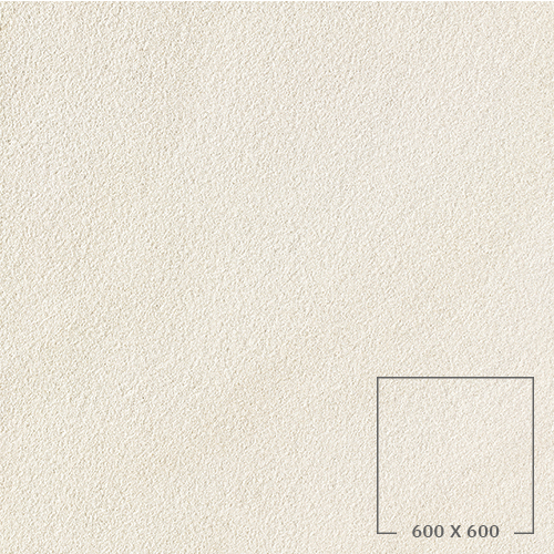 SP6501W