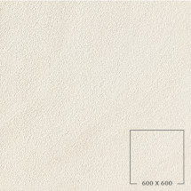 SP6501W