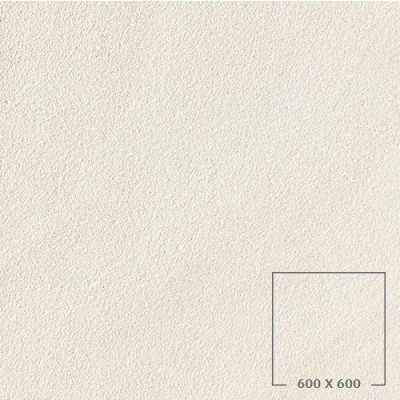 SP6501W