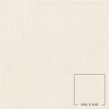 SP6501T